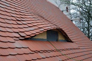 Fledermausgaube